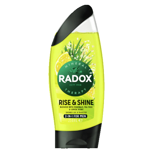 Radox Men's Shower Gel Lemon And Tea Tree