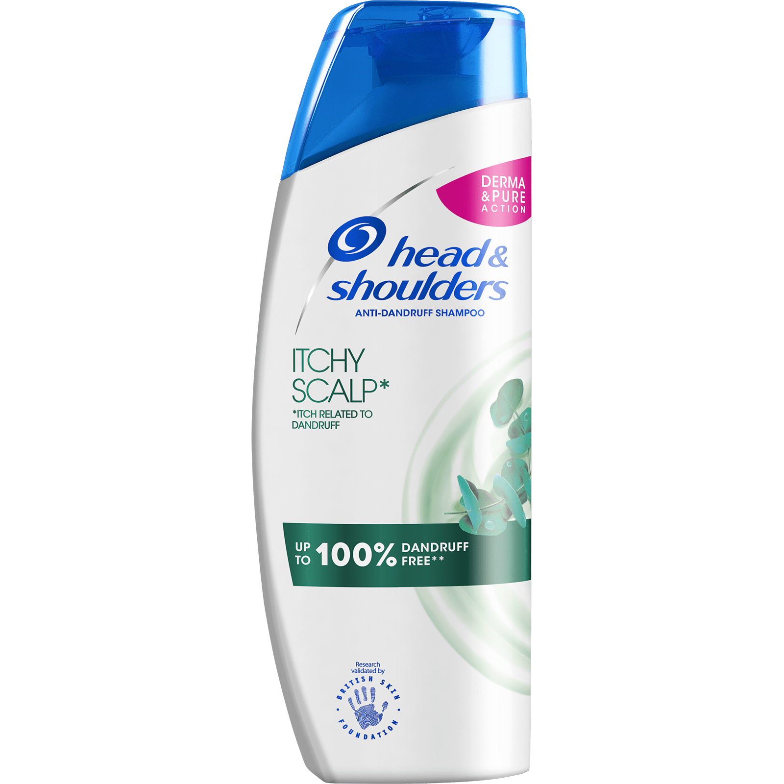 Head & Shoulders Shampoo Itchy Scalp 250ML